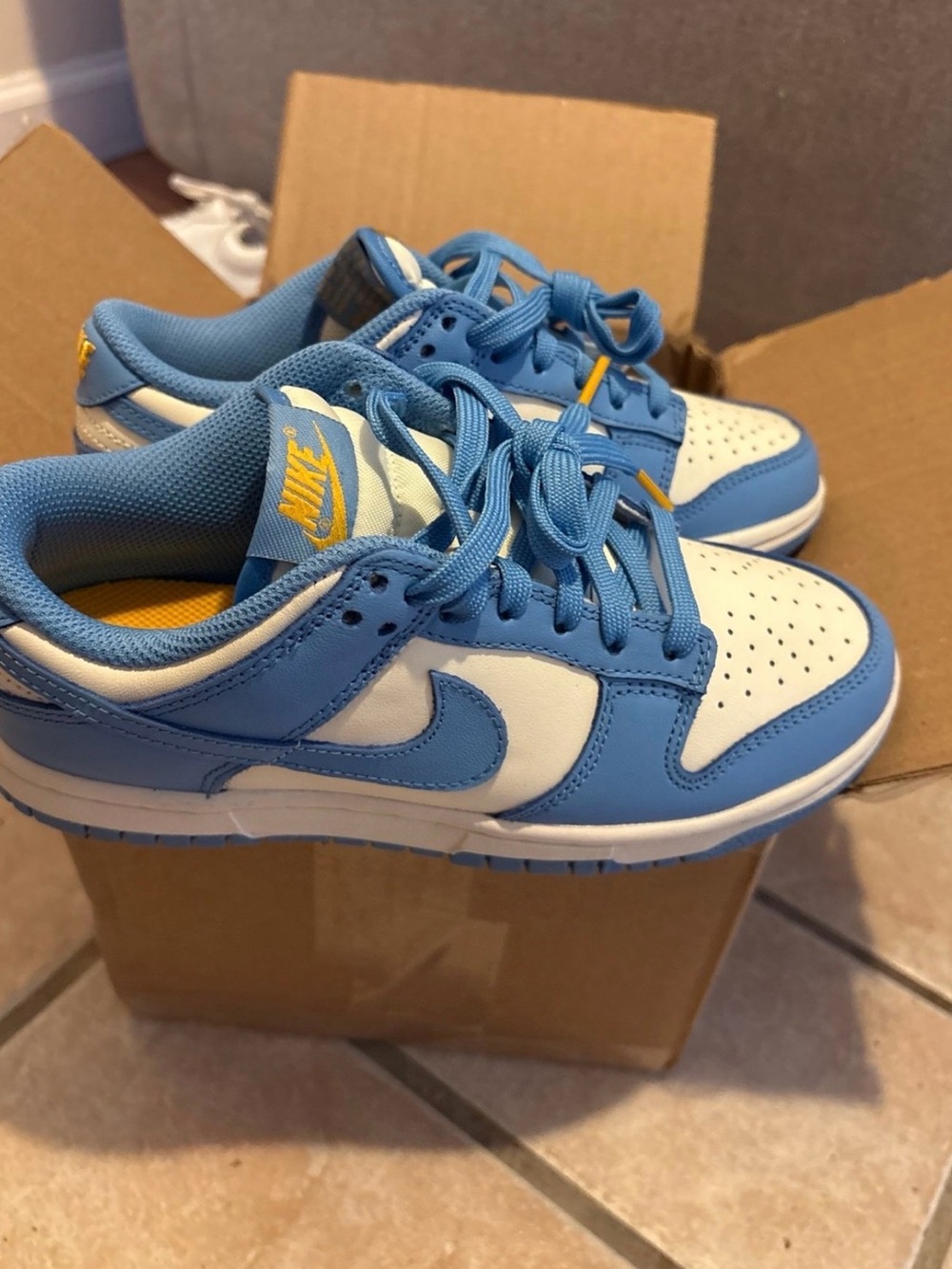 Nike Blue and White Low-Top Sneakers